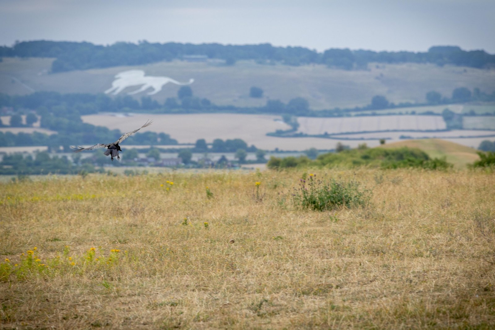 Hazy early morning view across the Chilterns countryside from Ivinghoe Beacon