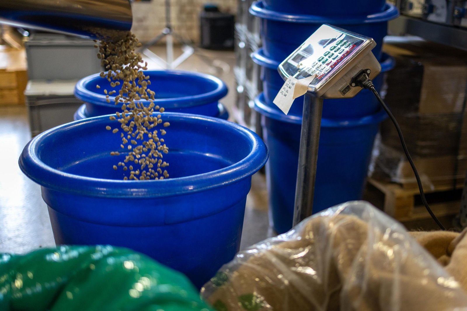 Green coffee beans being poured into a weighing bin at Yellow Bourbon's Weedon Depot