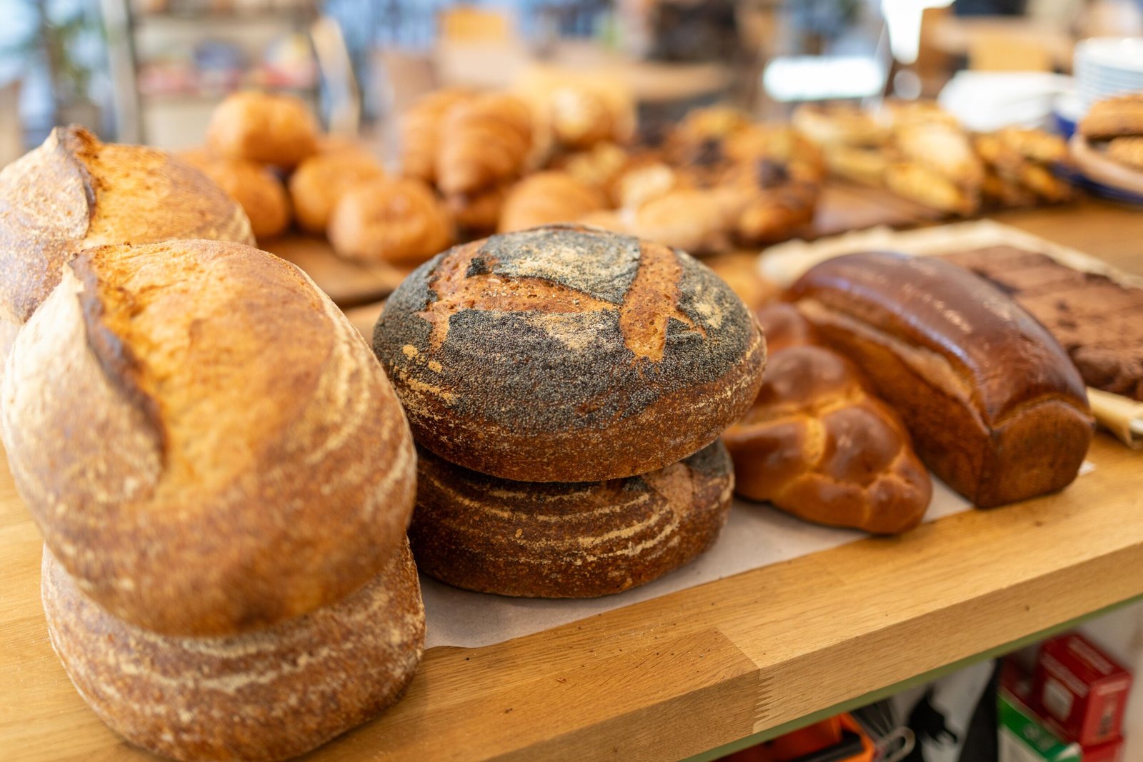 Sourdough loaves and a plaited loaf on the bakery counter