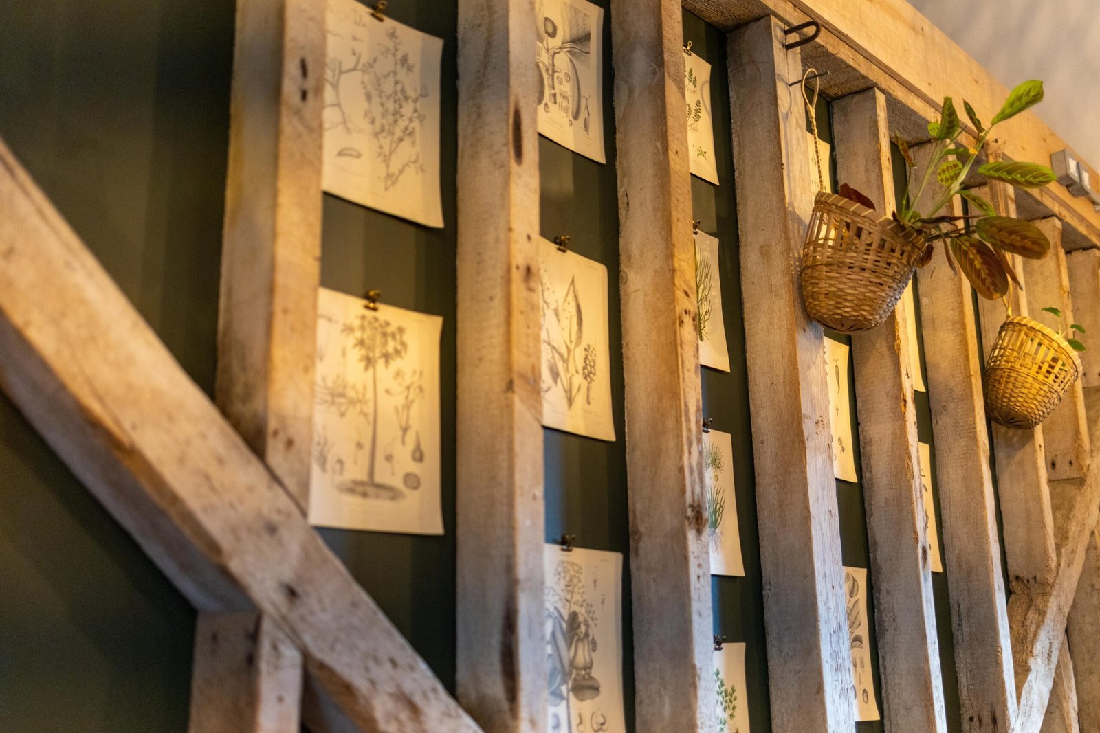 Botanical prints and woven hanging planters on exposed timber at Wooden Hill Haynes