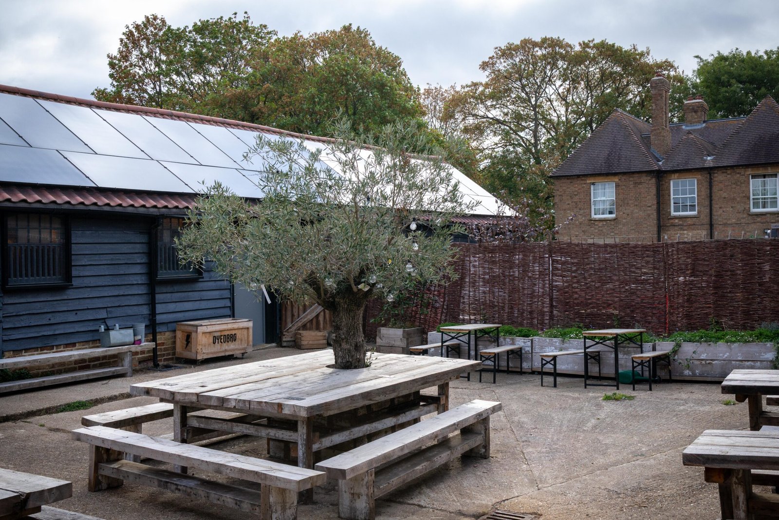 The outdoor courtyard at Wooden Hill Haynes, with an olive tree built into a picnic table